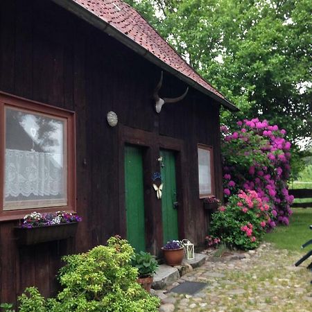 Reiterhof Winandy Villa Wietzendorf Dış mekan fotoğraf