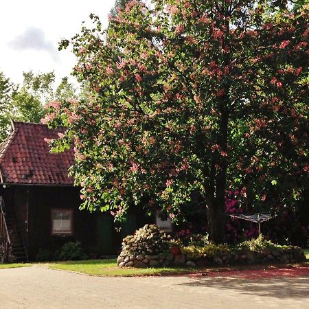 Reiterhof Winandy Villa Wietzendorf Dış mekan fotoğraf