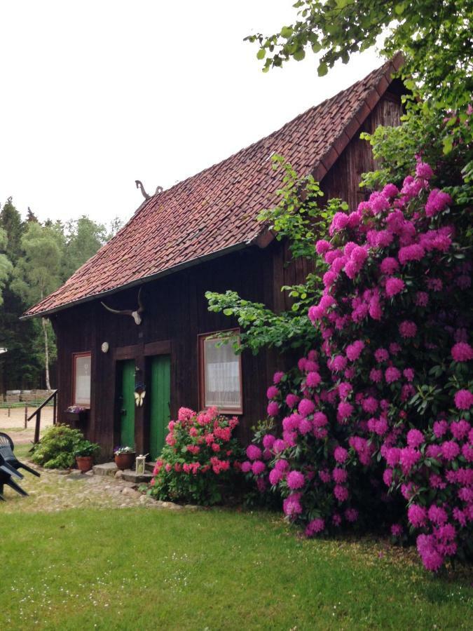 Reiterhof Winandy Villa Wietzendorf Dış mekan fotoğraf