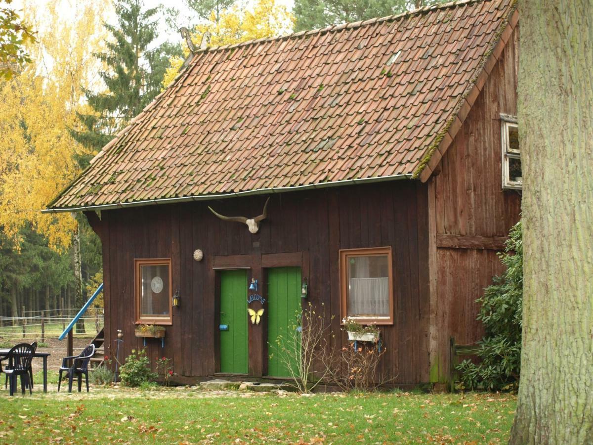 Reiterhof Winandy Villa Wietzendorf Dış mekan fotoğraf